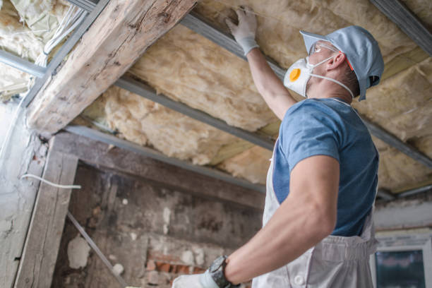 Best Energy-efficient Insulation  in Stanberry, MO
