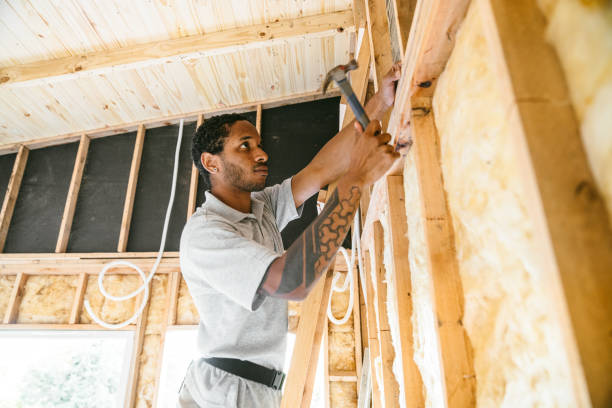 Best Insulation Removal  in Stanberry, MO