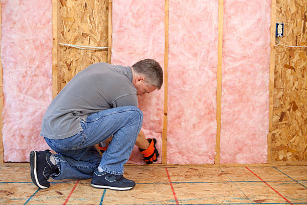 Best Fiberglass Insulation  in Stanberry, MO